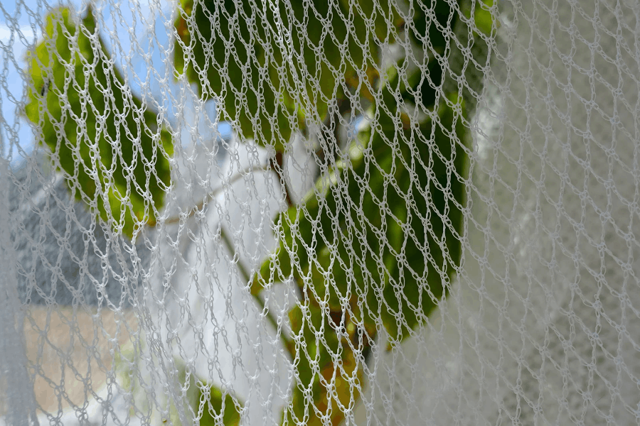 bird netting